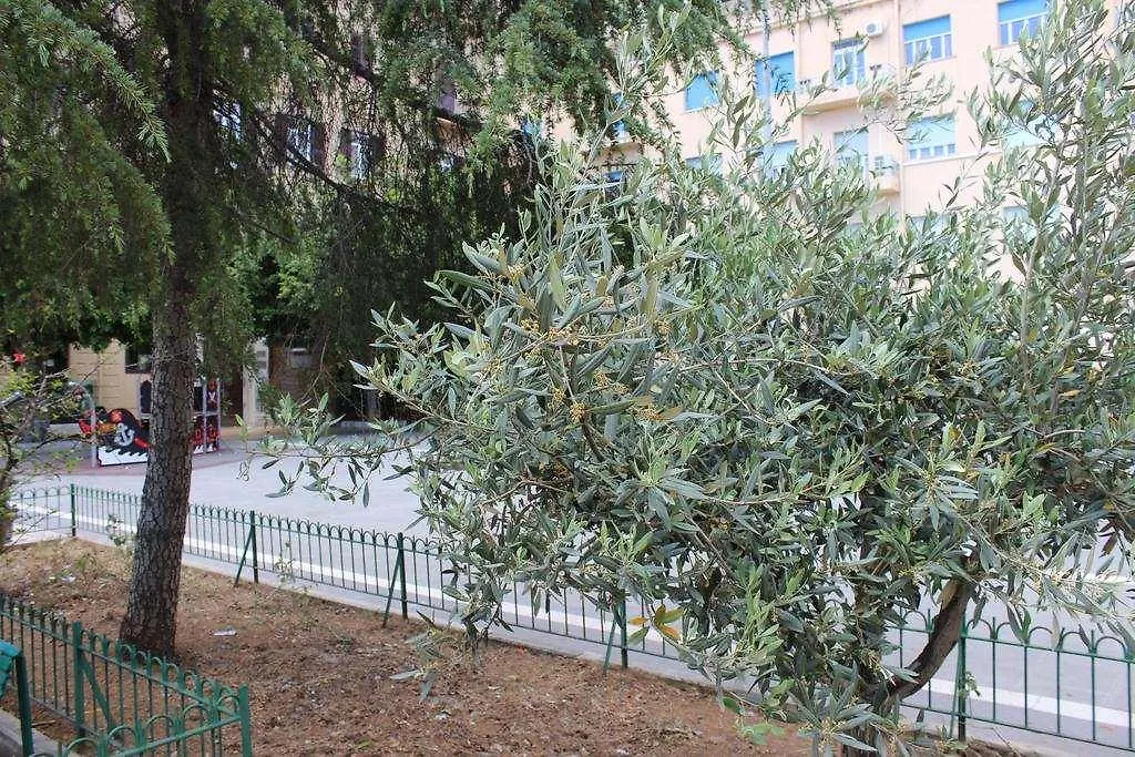 Hotel Del Viale Agrigento 3*,